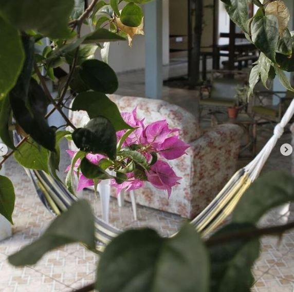 Hotel Pousada Guaypora 瓜拉派瑞 外观 照片