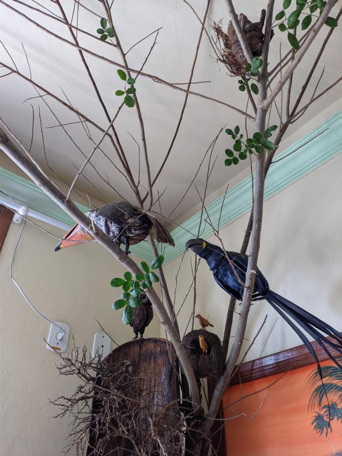 Hotel Pousada Guaypora 瓜拉派瑞 外观 照片